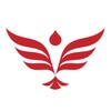 大师兄影视 